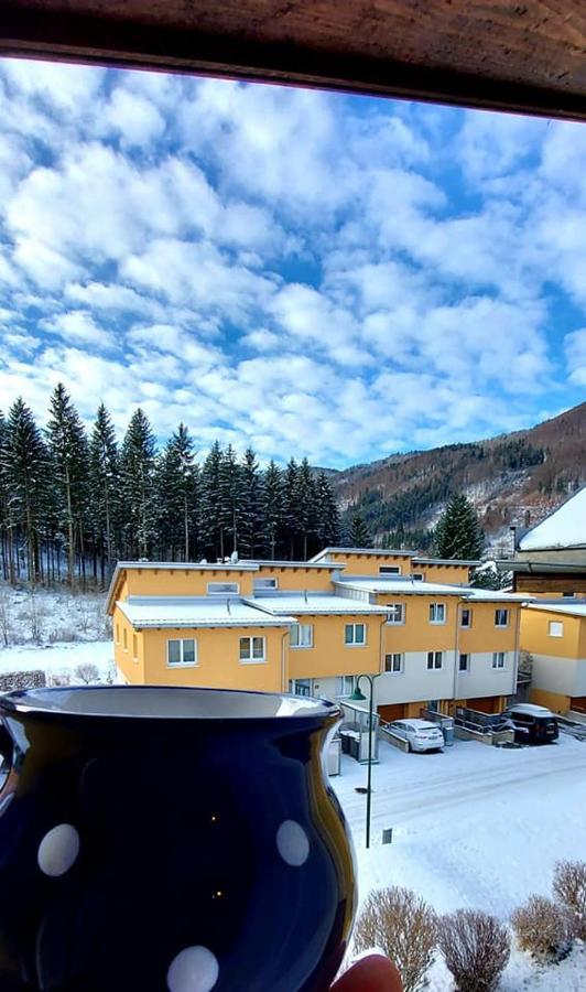 Ferienwohnung Bergspass Gaming Eksteriør billede