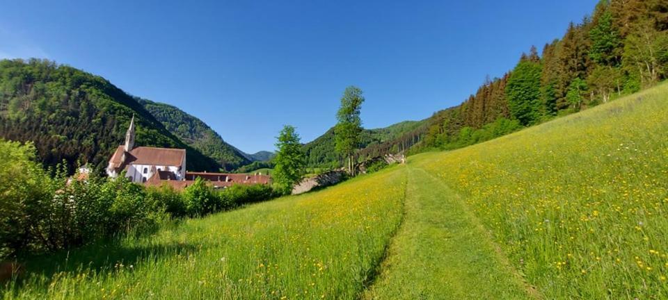 Ferienwohnung Bergspass Gaming Eksteriør billede