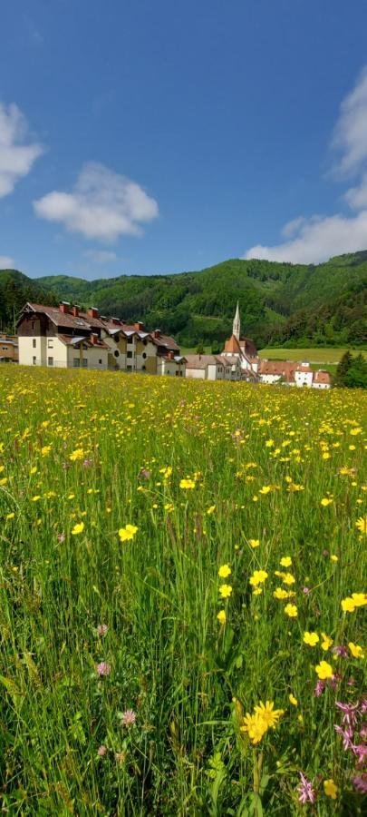 Ferienwohnung Bergspass Gaming Eksteriør billede